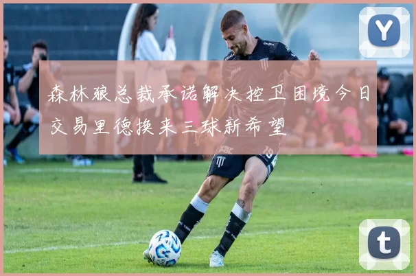 森林狼总裁承诺解决控卫困境今日交易里德换来三球新希望